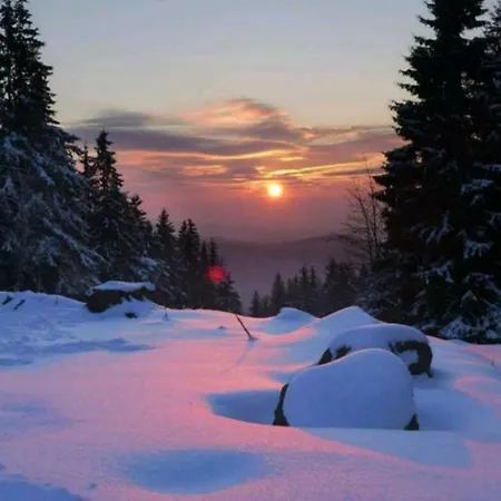 Апартаменты Wurmberg Domizil