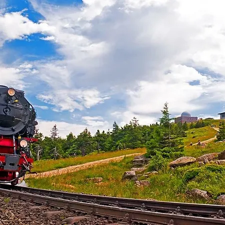 Wurmberg Domizil * Браунлаге