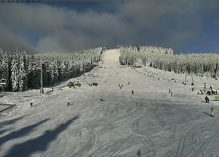 公寓 Wurmberg Domizil 布劳恩拉格