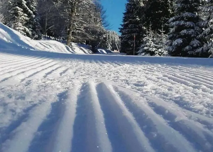 公寓 Wurmberg Domizil *