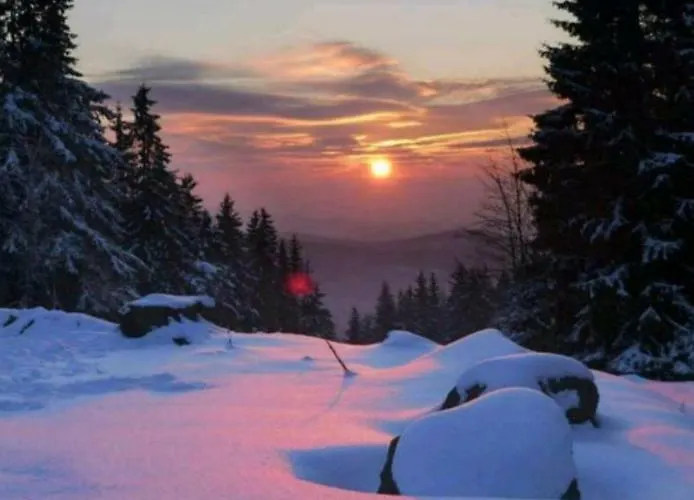 公寓 Wurmberg Domizil